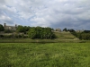Dresden-21