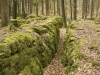 Druidenhain-11