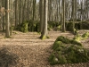 Druidenhain-12