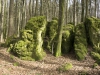 Druidenhain-14