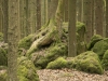Druidenhain-17