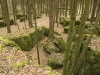 Druidenhain-2