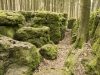 Druidenhain-5