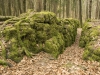 Druidenhain-6