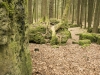 Druidenhain-8
