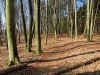 Affalterthal_04