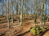 Affalterthal_05