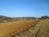 Affalterthal_14