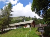 Alpe-Laufbichl_04