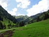 Alpe-Laufbichl_05