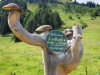 Alpe-Laufbichl_09