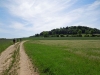 Vierzehnheiligen_07