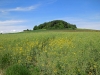Vierzehnheiligen_12