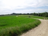 Vierzehnheiligen_13