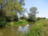 Altmuehlsee_04