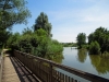Altmuehlsee_11