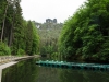 Bastei-20