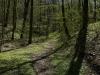 Bettenburg (10)