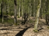 Bettenburg (13)