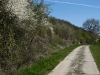 Bettenburg (2)
