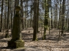 Bettenburg (9)
