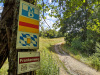 Ruine-Wolfstein-13