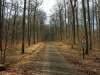 Burgruine-Bramberg_04