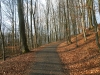 Burgruine-Bramberg_06