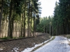 Fichtelbergbahn-16