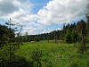 Fichtelsee_09