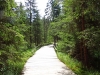 Fichtelsee_10