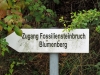 Fossiliensteinbruch_01