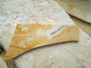 Fossiliensteinbruch_07