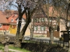 Horsdorf_web_03.jpg