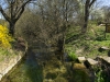 Horsdorf_web_13.jpg