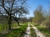 Horsdorf_web_14.jpg