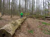 BA_Michelsberger-Wald-2