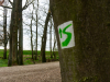 BA_Michelsberger-Wald-6