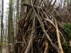 BA_Michelsberger-Wald-9