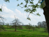 Michelsberger-Wald-11