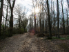 Michelsberger-Wald-12