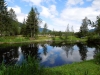 Mohrlehrpfad_03