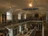 Naturkundemuseum-4