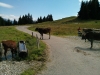 Ofterschwanger-Horn_06