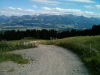Ofterschwanger-Horn_10