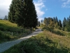 Ofterschwanger-Horn_13