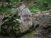 Osser-6