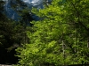 In die Berge-24