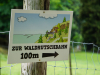 Pfänder-10