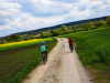 Auf dem Weg zur Pettstadter Fähre
